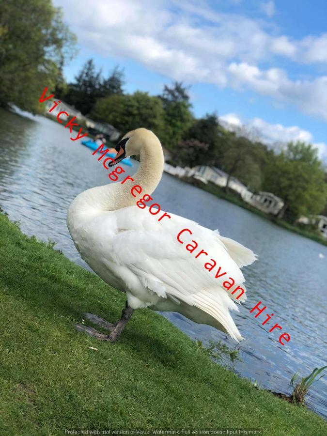 Haggerston Castle Tower Lawn Hire 호텔 버윅어폰트위드 외부 사진